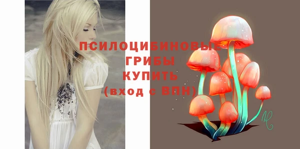 бутират Богородицк