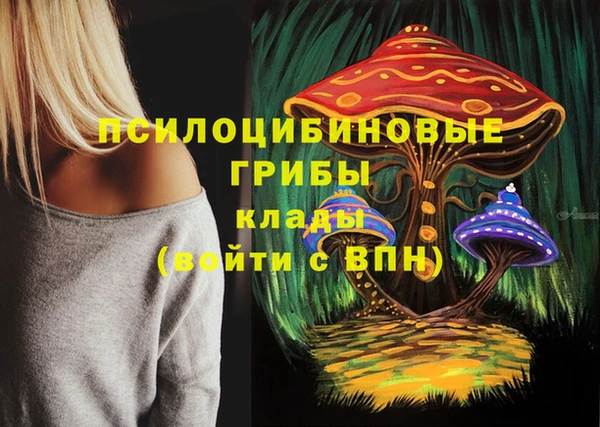 герыч Богородск
