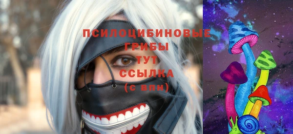 бутират Богородицк