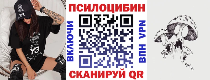 Галлюциногенные грибы Cubensis Вышний Волочёк