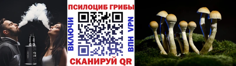 Псилоцибиновые грибы ЛСД  Вышний Волочёк 